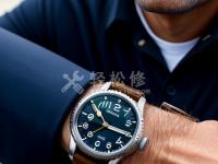 雪鐵納手表適合男生嗎，推薦幾款