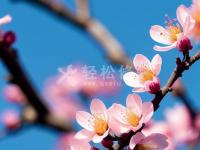 蕭邦手表GMT功能失效了怎么辦