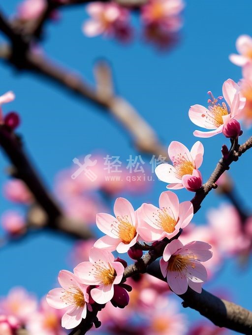 迪奧手表哪些型號(hào)有陀飛輪機(jī)芯 迪奧手表哪些型號(hào)有陀飛輪機(jī)芯